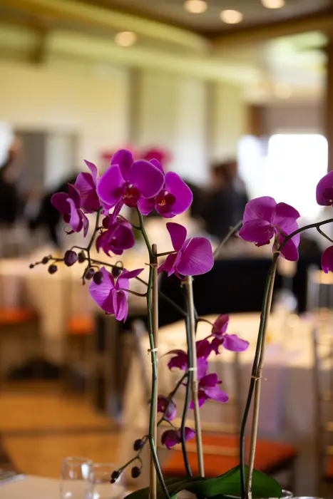 2026 Visionaries of Tomorrow Gala, photo 26