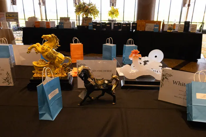 2026 Visionaries of Tomorrow Gala, photo 75
