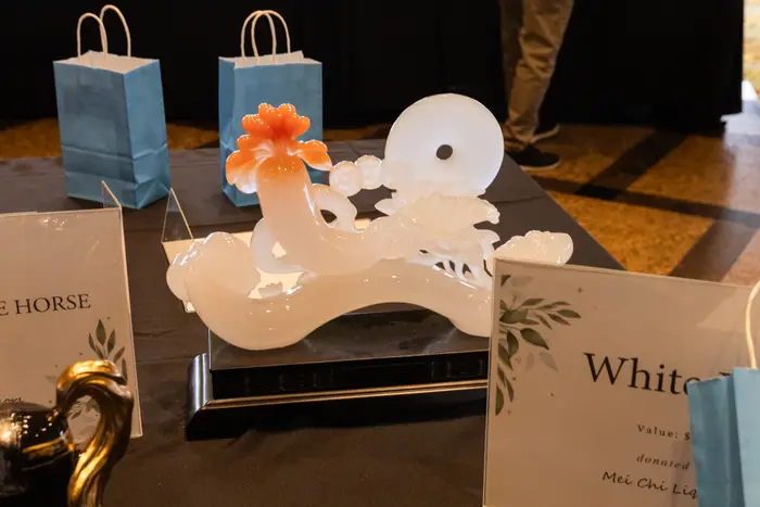 2026 Visionaries of Tomorrow Gala, photo 76