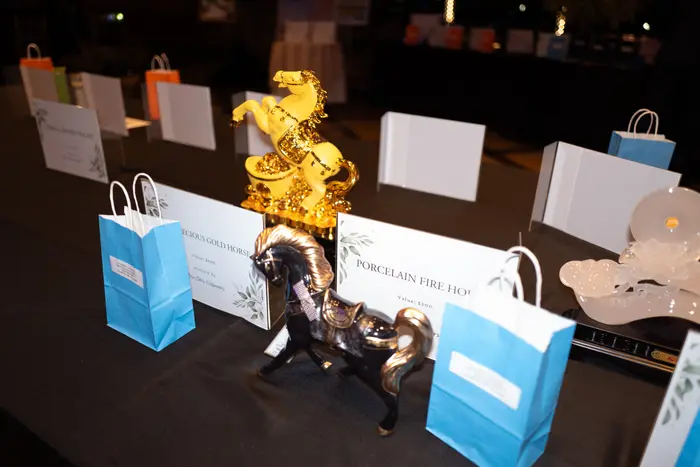 2026 Visionaries of Tomorrow Gala, photo 108